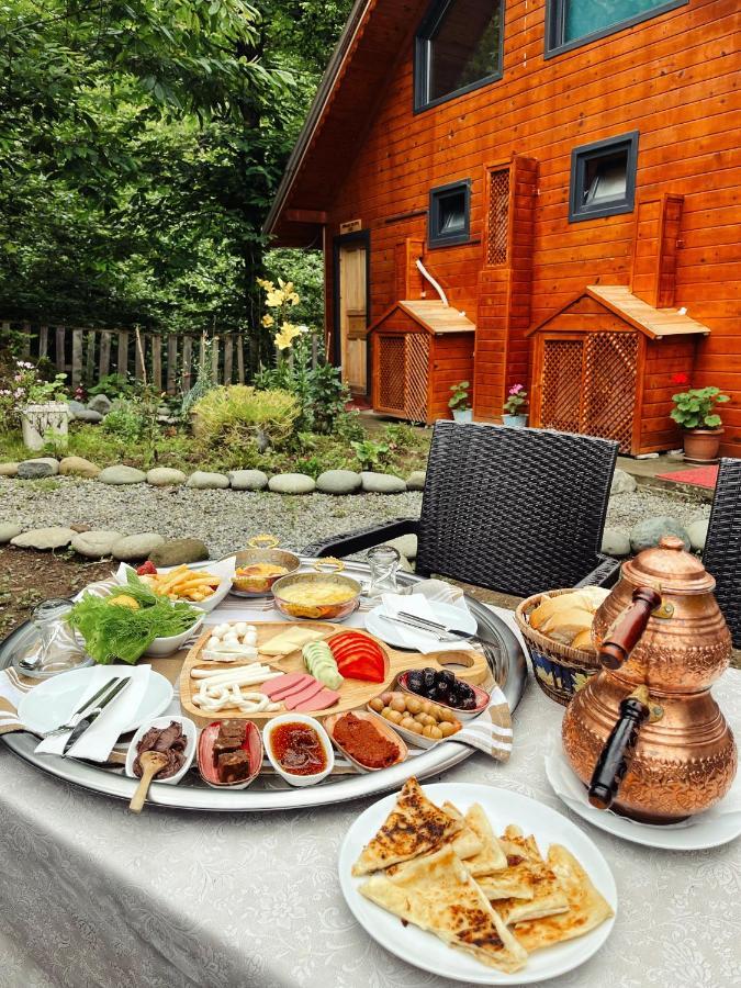 Kiana Bungalov Bed & Breakfast Ardeşen Dış mekan fotoğraf
